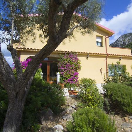 Agriturismo Sa Rocca イグレージアス エクステリア 写真