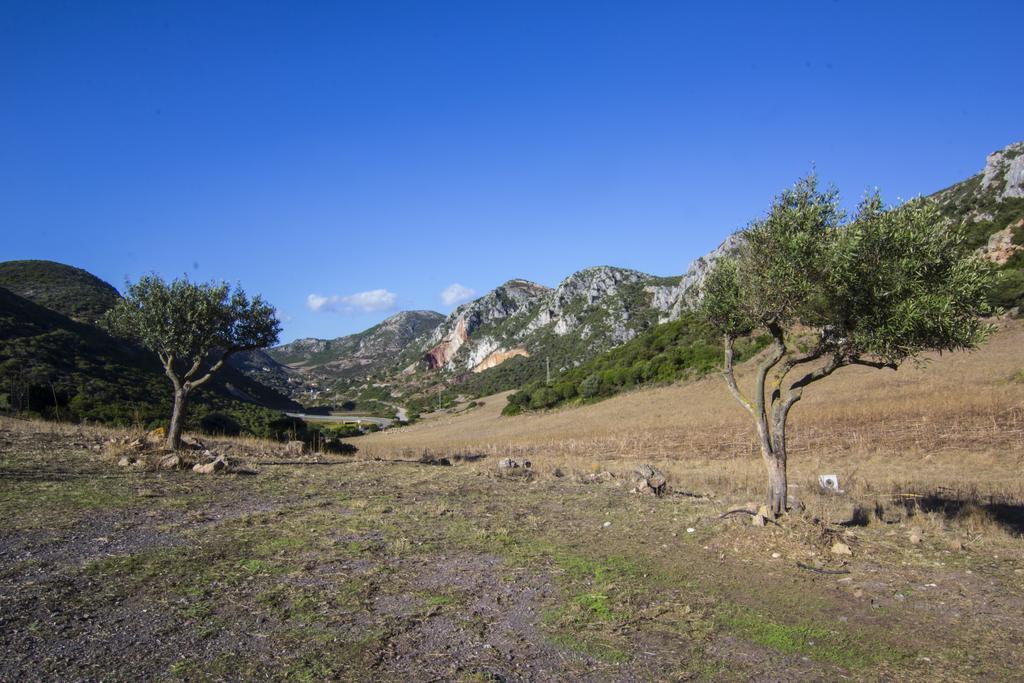 Agriturismo Sa Rocca イグレージアス エクステリア 写真